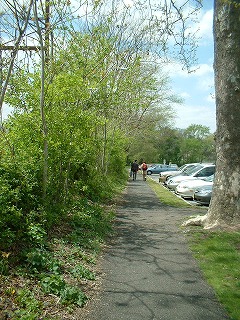 a0037729_19145852.jpg