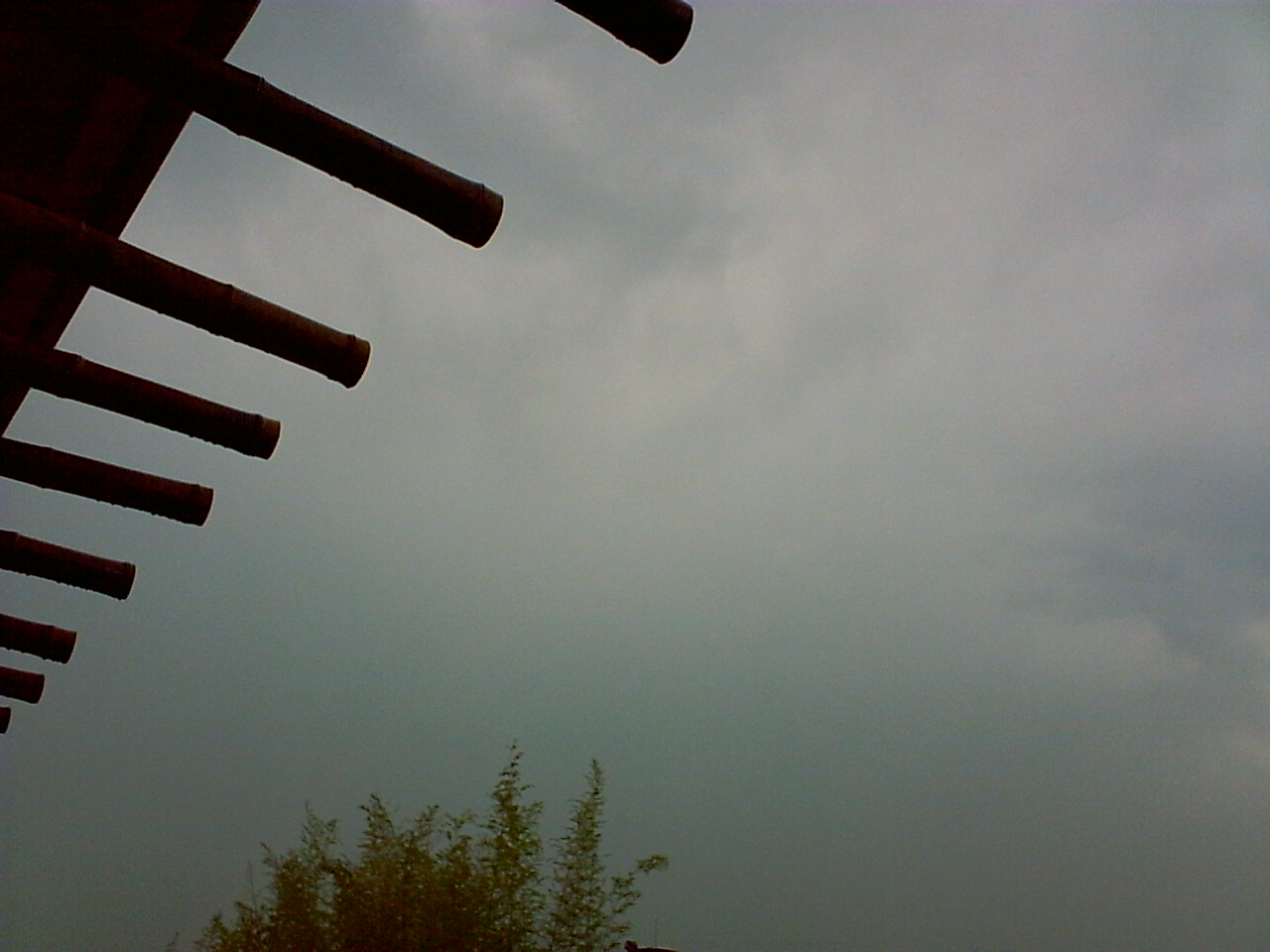 d0069233_19363650.jpg