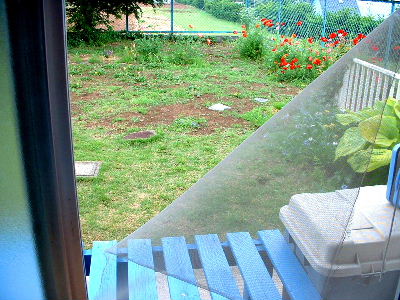 b0015260_1037110.jpg