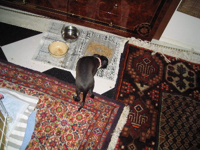 c0059066_0164385.jpg