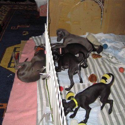 c0059066_095627.jpg