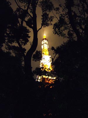 c0071866_231799.jpg