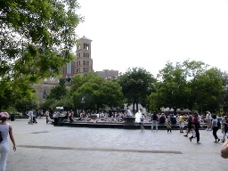 b0048976_472617.jpg