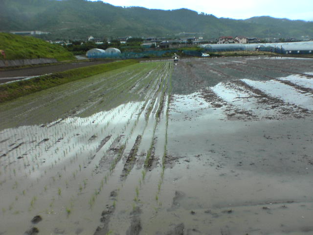 c0031582_20484349.jpg
