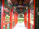 b0013088_23233330.jpg
