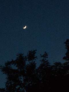 b0061107_23274015.jpg