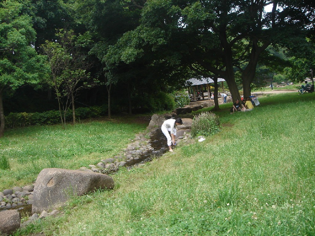 c0041207_19325256.jpg