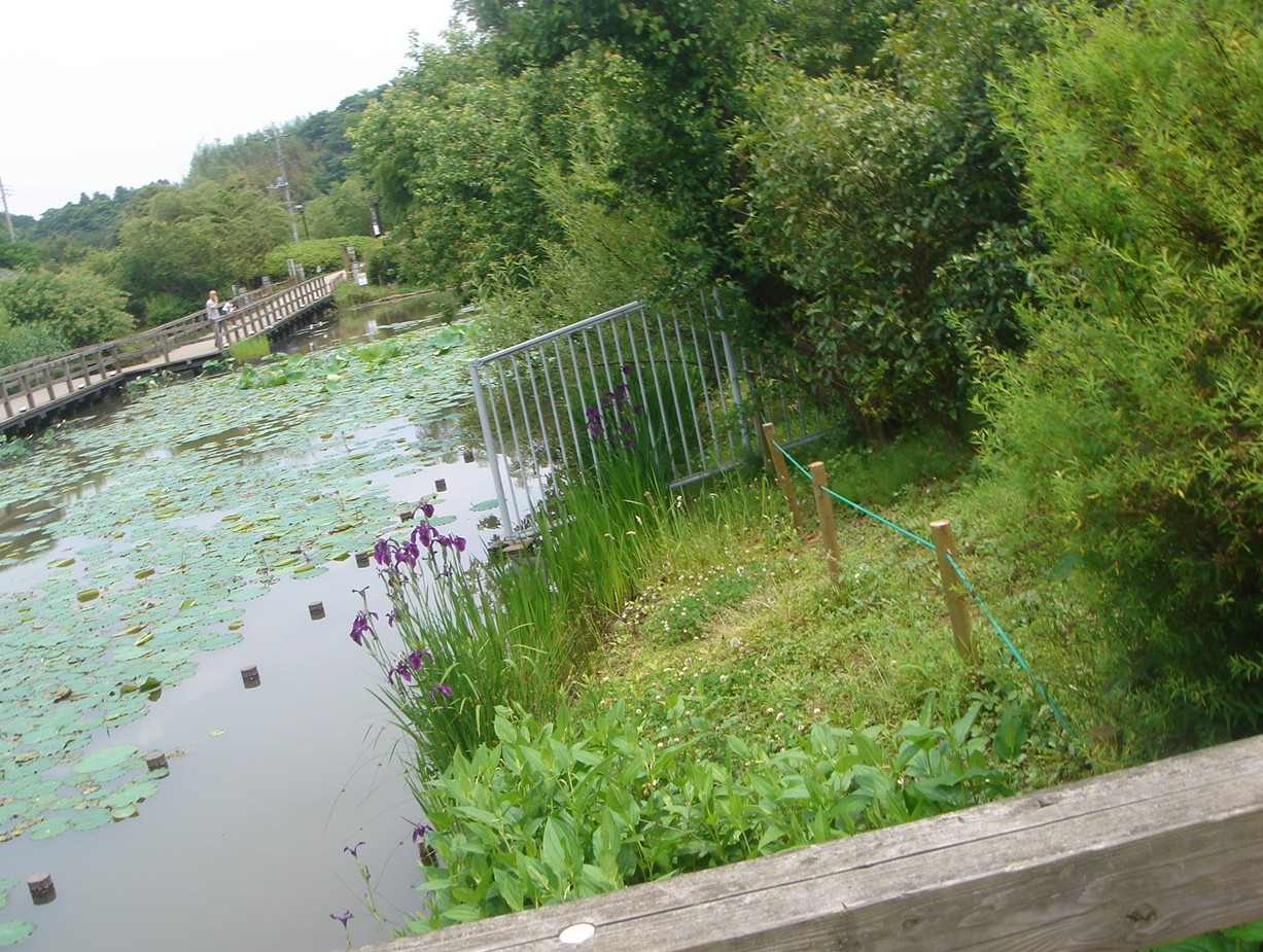 c0041207_19413310.jpg