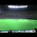 a0028016_20492951.jpg