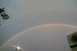 c0035417_1133888.jpg