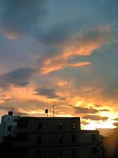 c0035417_1135095.jpg