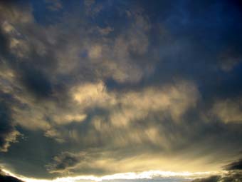 c0035926_313177.jpg