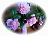 a0020929_1322614.jpg