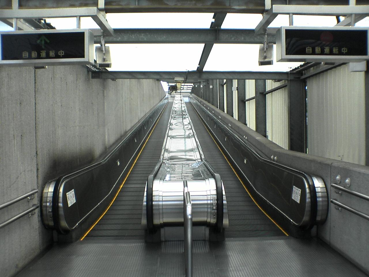 d0035442_22242398.jpg