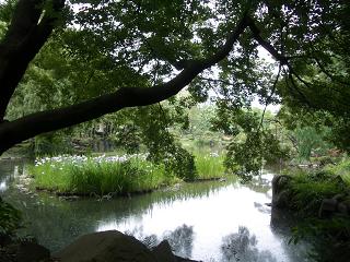 d0036951_19461479.jpg