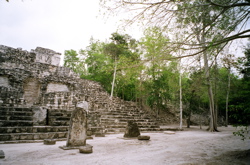 c0035559_115325.jpg