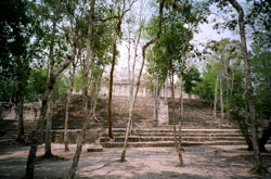 c0035559_1502657.jpg