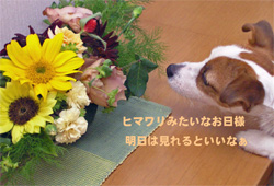 b0065067_1525140.jpg