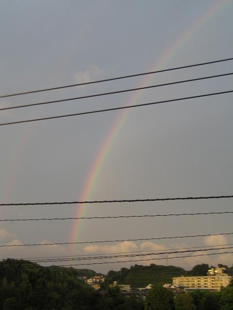 c0070968_224218100.jpg
