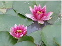 c0036203_017258.jpg