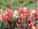 c0036203_0222674.jpg
