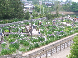 c0036203_03331.jpg