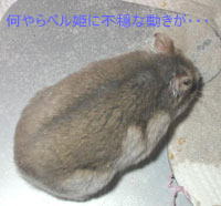 c0032408_1850505.jpg