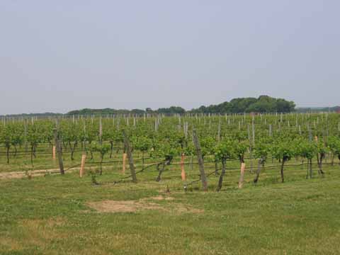 c0055212_1232758.jpg