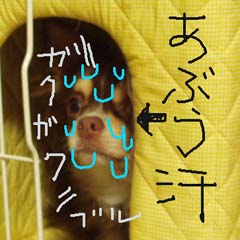 c0036617_2017578.jpg