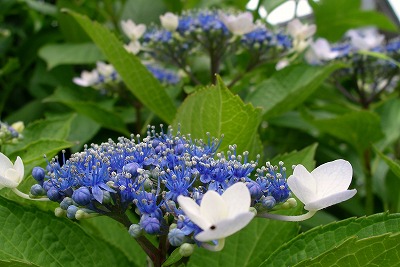a0034419_944215.jpg