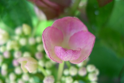 a0034419_952234.jpg