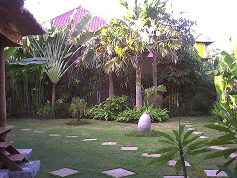 d0038319_914863.gif