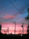 d0069233_251262.jpg