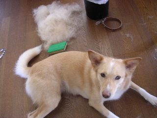c0065643_1030565.jpg