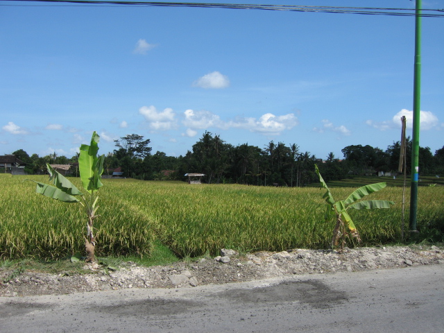 b0010946_1942177.jpg