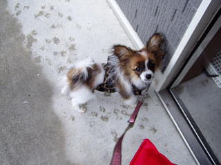 c0074156_236532.jpg