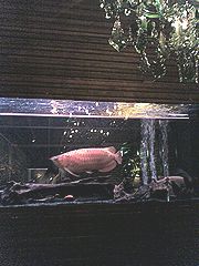 a0001561_1010321.jpg
