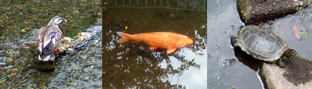c0032567_02643.jpg