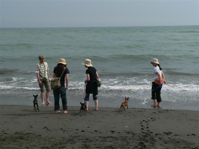 c0012571_23501810.jpg