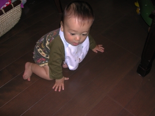 c0072871_18525990.jpg