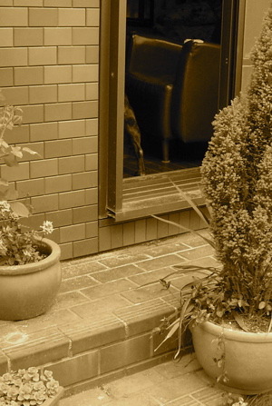 d0038533_1212510.jpg