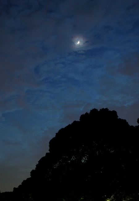 b0063234_22372054.jpg
