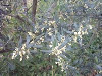 c0068149_013889.jpg