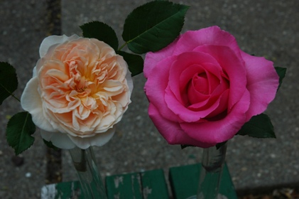 c0055857_4275820.jpg