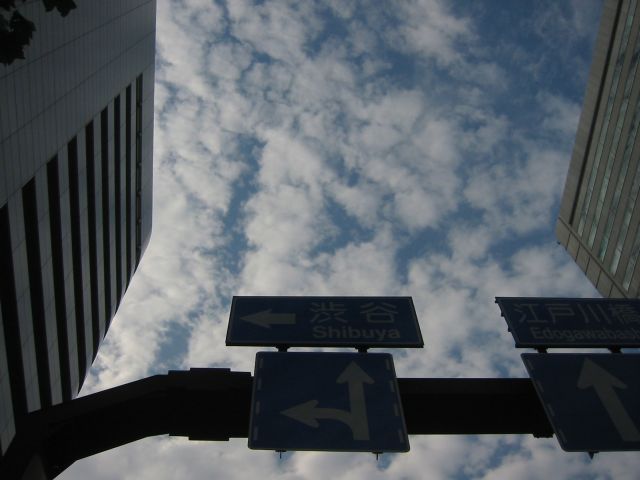 b0027267_23202818.jpg