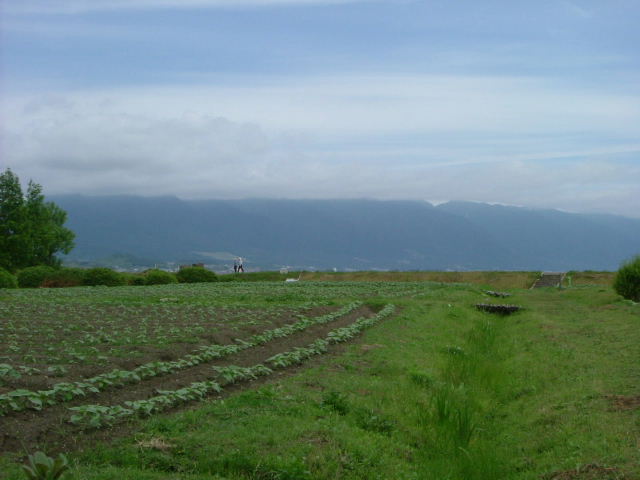 b0055171_16494585.jpg