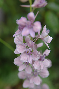 c0026690_23494716.jpg