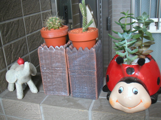c0056008_16365143.jpg