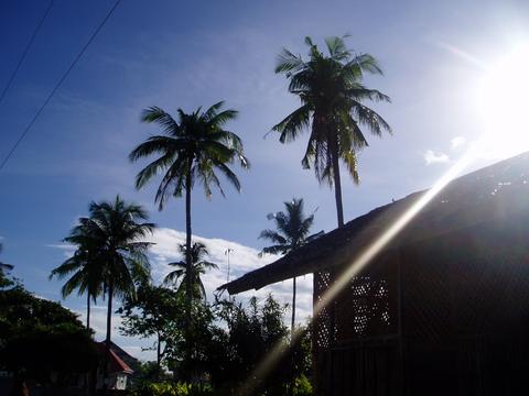 a0000014_2364911.jpg