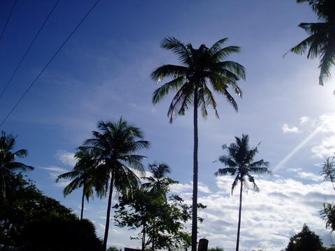 a0000014_2365652.jpg
